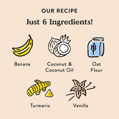 Bocce's Bakery Oven Baked Turmeric Latte Treats for Dogs, Wheat-Free Everyday Dog Treats, Made with Real Ingredients, Baked in The USA, All-Natural Biscuits, Coconut, Vanilla, & Turmeric, 5 oz