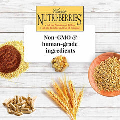 LAFEBER'S Classic Nutri-Berries Pet Bird Food, Made with Non-GMO and Human-Grade Ingredients, 4 lb