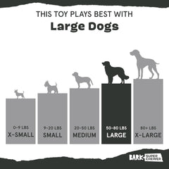 Barkbox Acornucopia Treat Dispensing Indoor/Outdoor Chewer Toy, Large