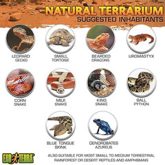 Exo Terra Glass Terrarium Kit, for Reptiles and Amphibians, Nano, 8 x 8 x 8 inches, PT2599A1