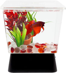 Tetra LED Betta Tank Kit 1 Gallon, Trapezoid aquarium With Base Lighting (24050)