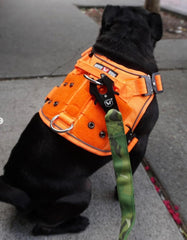 Boss Dog Tactical Harness, Hot Pink