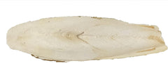 A&E Cage Cuttlebone 4-6 5lb 4-6 in. Cuttle Bone Piece44; 5 lbs