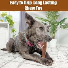 SPOT Bam-Bones Plus T Bone - Bamboo Fiber & Nylon, Durable Long Lasting Dog Chew for Aggressive Chewers – Great Toy for Adult Dogs & Teething Puppies Under 30lbs, Non-Splintering, Beef Flavor