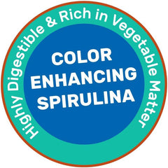 Hikari Cichlid Excel Floating Pellets for Pets