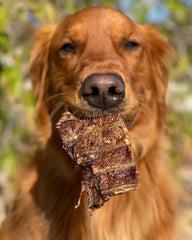 Redbarn Pet Products Natural Choppers Beef Lung Chew Treats for Dogs - Premium Made in USA Rawhide-Free Single Ingredient High Protein Low Fat - 9 oz Bag