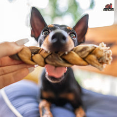 Redbarn Collagen Braid 1 each