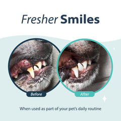 Dental Fresh Water Additive for Dogs, Original Formula, Dog Breath Freshener and Dog Teeth Cleaning for Dog Dental Care– Add to Water