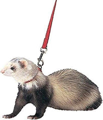 Marshall Pet Products Harness & Lead