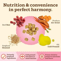 Primal Kibble in The Raw, Freeze Dried Cat Food, Beef, Scoop & Serve, Made with Raw Protein, Whole Ingredient Nutrition, Crafted in The USA, Dry Cat Food, 24 Ounce (1.5 lb) Bag