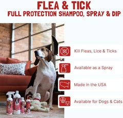 Bio-Groom Flea & Tick Dog Shampoo – Flea and Tick Prevention for Dogs, Cat Flea Treatment, Cruelty-Free, Made in USA, Natural Tick Repellent, Protein-Lanolin Shampoo