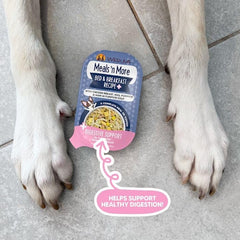 Weruva Meals 'n More Natural Wet Dog Food, Bed & Breakfast Plus Digestive Support (Pack of 12)