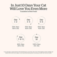 Now Fresh Grain-Free Dry Kitten Food with Turkey, Salmon & Duck, Healthy Kibble for Growing Cats with Real Meat & Fish, Chicken-Free, with Pumpkin & Probiotics for Sensitive Stomachs, 3 lb Bag