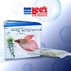 Lee's Triangle Betta Keeper