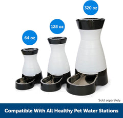 PetSafe Healthy Pet Water Filter, for Healthy Pet Water Station for Dogs and Cats