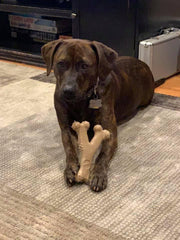 SPOT Bam-Bones Wishbone - Made with Strong Bamboo Fiber, Durable Long Lasting Dog Chew for Light to Moderate Chewers, Great Toy for Adult Dogs & Teething Puppies Under 50lbs, Chicken Flavor