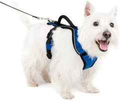 PetSafe EasySport Dog Harness – Adjustable, Padded Dog Harness with Control Handle and Reflective Piping