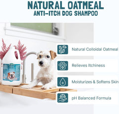 Bio-Groom Oatmeal Dog Shampoo – for Allergies and Itching, Cruelty-Free, Dog Bathing Supplies, Puppy Shampoo for Sensitive Skin, Made in USA, Anti-Itch Dog Products