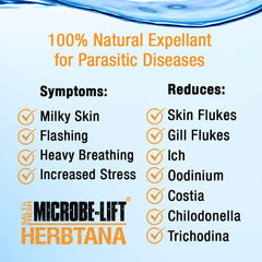 MICROBE-LIFT HERB08 Herbtana for Freshwater and Saltwater Home Aquariums and Fish Tanks