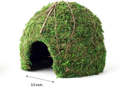 Galápagos Mossy Dome Hide, Vined