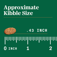 Nutro Ultra High Protein Dry Puppy Food, Trio of Proteins from Chicken, Lamb and Salmon