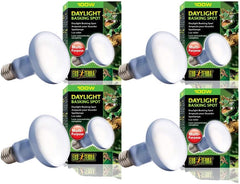 Exo Terra Daylight Basking Spot Lamp