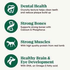 Nutro Natural Choice Puppy Dry Dog Food, Lamb and Brown Rice Recipe