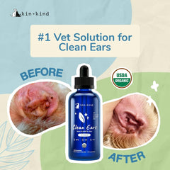kin+kind Organic Ear Cleaner for Dogs - Made in The USA - Easy to Use & Mess-Free Dog Ear Drops for Wax, Odor, & Itchy Dog Ears w/Witch Hazel, Tea Tree Oil, & Aloe Vera - Ear Wash for Dogs (4 fl oz)