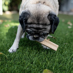 Loving Pets Yummy Bones Chicken Flavor Filled Bone, Dog Treat, Box of 15 Single Wrapped Bones