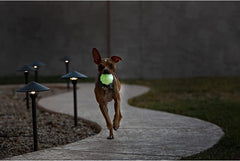 Jolly Pets Orange Jolly Jumper Ball Dog Toy