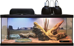 Zoo Med Laboratories Reptihabitat 20 Long Beard Dragon Starter Kit