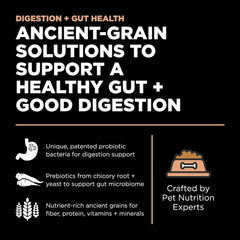 Go! Solutions Digestion + Gut Health, Dry Dog Food, Salmon Recipe with Ancient Grains