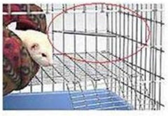 Marshall Pet Products Corner Deterrent Springs for Ferrets 1ea/4 pk