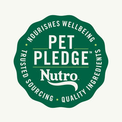 Nutro Natural Choice Small Bites Adult Dry Dog Food, Salmon and Brown Rice Recipe, 28 lbs.