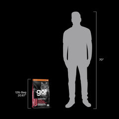 Go! Solutions Sensitivities Limited Ingredient, Grain-Free Dry Cat Food, Salmon Recipe for Sensitive Stomach