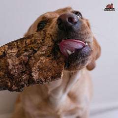 Redbarn Pet Products Natural Choppers Beef Lung Chew Treats for Dogs - Premium Made in USA Rawhide-Free Single Ingredient High Protein Low Fat - 9 oz Bag