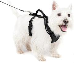 PetSafe EasySport Dog Harness – Adjustable, Padded Dog Harness with Control Handle and Reflective Piping