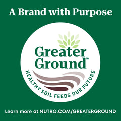 Nutro Wholesome Essentials Hairball Control Cat Food Dry Chicken & Brown Rice Recipe