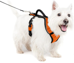 PetSafe EasySport Dog Harness – Adjustable Padded Dog Harness with Control Handle and Reflective Piping