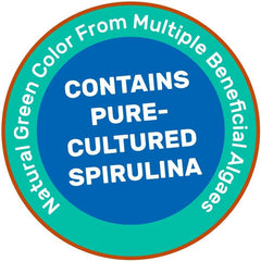 Hikari Mini Algae Wafers