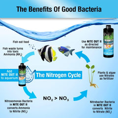 Ecological Labs MICROBE-LIFT NITEH16 Nite-Out II Aquarium and Fish Tank Cleaner for Rapid Ammonia and Nitrite Reduction, Freshwater and Saltwater, 16 Ounces