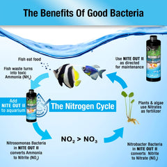MICROBE-LIFT NITEH04 Nite-Out II Aquarium and Fish Tank Cleaner for Rapid Ammonia and Nitrite Reduction, Freshwater and Saltwater