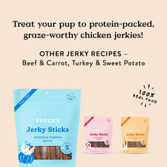 Bocce's Bakery Jerky Stick Dog Treats, Wheat-Free, Made with Limited-Ingredients, Baked in The USA with No Added Salt or Sugar, All-Naural & High-Protein, Chicken & Pumpkin, 4 oz