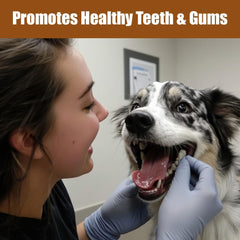 SPOT Bam-Bones Plus T Bone - Bamboo Fiber & Nylon, Durable Long Lasting Dog Chew for Aggressive Chewers – Great Toy for Adult Dogs & Teething Puppies Under 30lbs, Non-Splintering, Beef Flavor