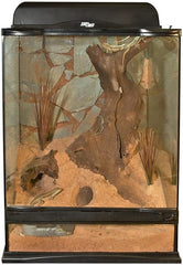 Zoo Med Naturalistic Terrarium