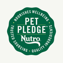 Nutro Crunchy Dog Treats with Real Mixed Berries