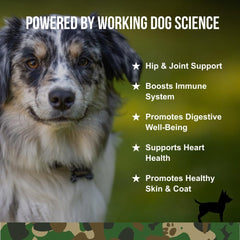 O.G.B. Operation Good Boy - SRE: Multi Function Supplement for Pets - 90 Count Soft Chews - 12.7 oz - Made Natural Ingredients - Veteran Owned