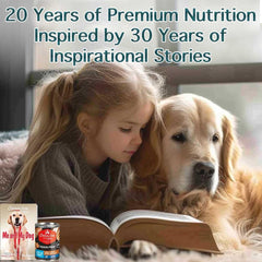 Chicken Soup for the Soul All Natural Premium Grain-Free All Life Stage Wet Dog Food, Real Meat First Ingredient, No By-Products, Turkey & Sweet Potato Stew, 13oz (Pack of 12)