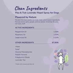 Flea|Tick Protect Spray - Lavender