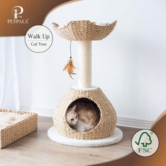 Petpals 28" High 2 Level Handwoven Paper Rope Nest Cat Bed and Large Handwoven Basket Hideaway with Washable Cushions,Replacement Natural Sisal Scratching Post for Indoor Cats